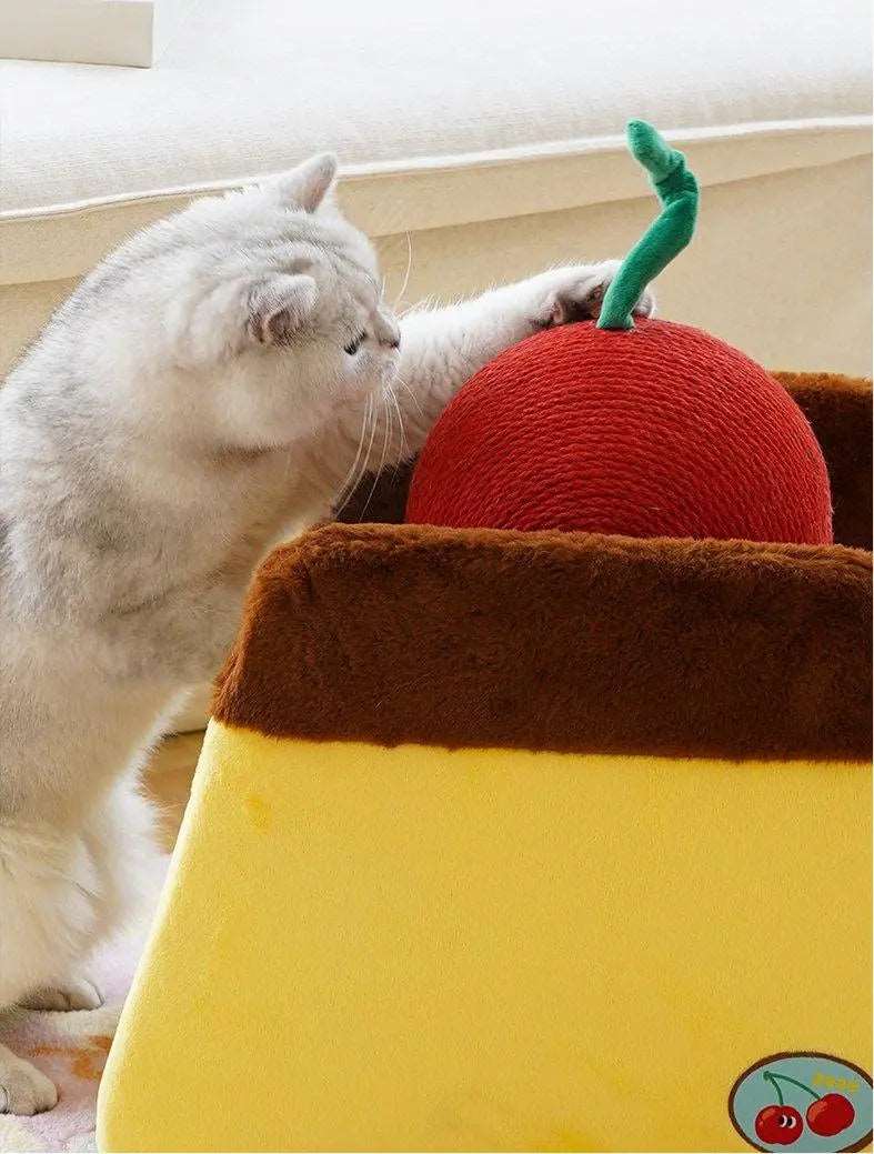 Cherry Cake Cat Bed | A Playful and Cozy Retreat for Your Cat